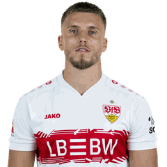 Ermedin Demirovic